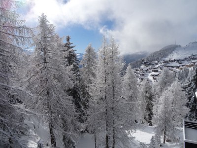Holiday apartment on the edge of the woods, Chalet Tilly - Outdoor photo 5