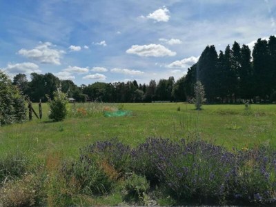 Holiday house Bauernhaus in Veluwe am Speulderbos - Environment photo 23
