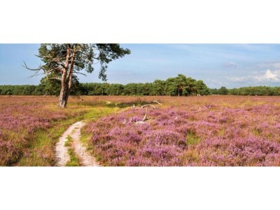 Holiday house Bauernhaus in Veluwe am Speulderbos - Environment photo 35
