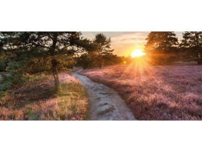 Holiday house Pets Welcome, Veluwe Farmhouses for All - Environment photo 37