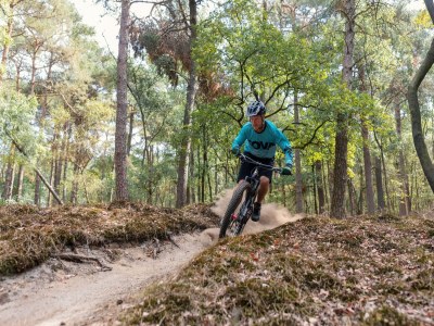 Holiday park Wellness-Refugium in Drenthe - Environment photo 10