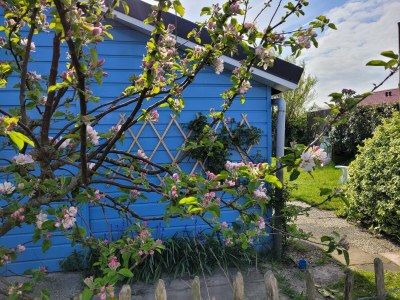 Holiday house Eb en Vloed 53 - Outdoor photo 16