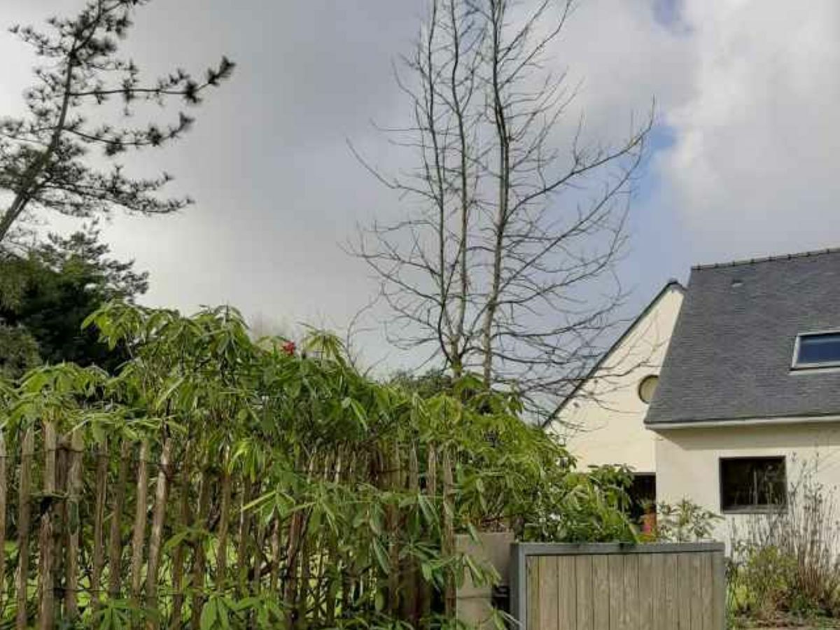 Holiday house Villa (ref. 8602) - Outdoor photo 3
