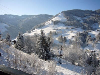 Holiday apartment Alpendomizil - Environment photo 18