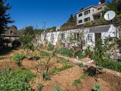 Apartment Apartments Ljubimir - One-Bedroom Apartment with Shared Terrace - Bambo in Dubrovnik - Apartment