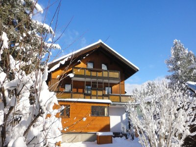 Holiday house Apartment in Zauchensee near Ski Bus - Outdoor photo 7