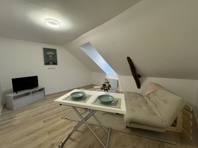 Apartment Wohnung in Le Mans nahe Altstadt in Chemiré-le-Gaudin - Apartment