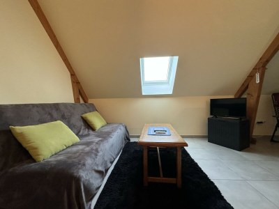Apartment Wohnung nahe Le Mans mit Garten in Chemiré-le-Gaudin - Apartment
