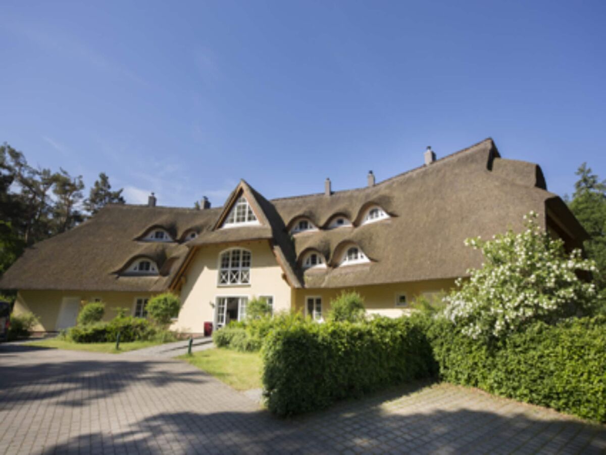 Apartment Ferienwohnung mit Terrasse in Dierhagen - Outdoor photo 2