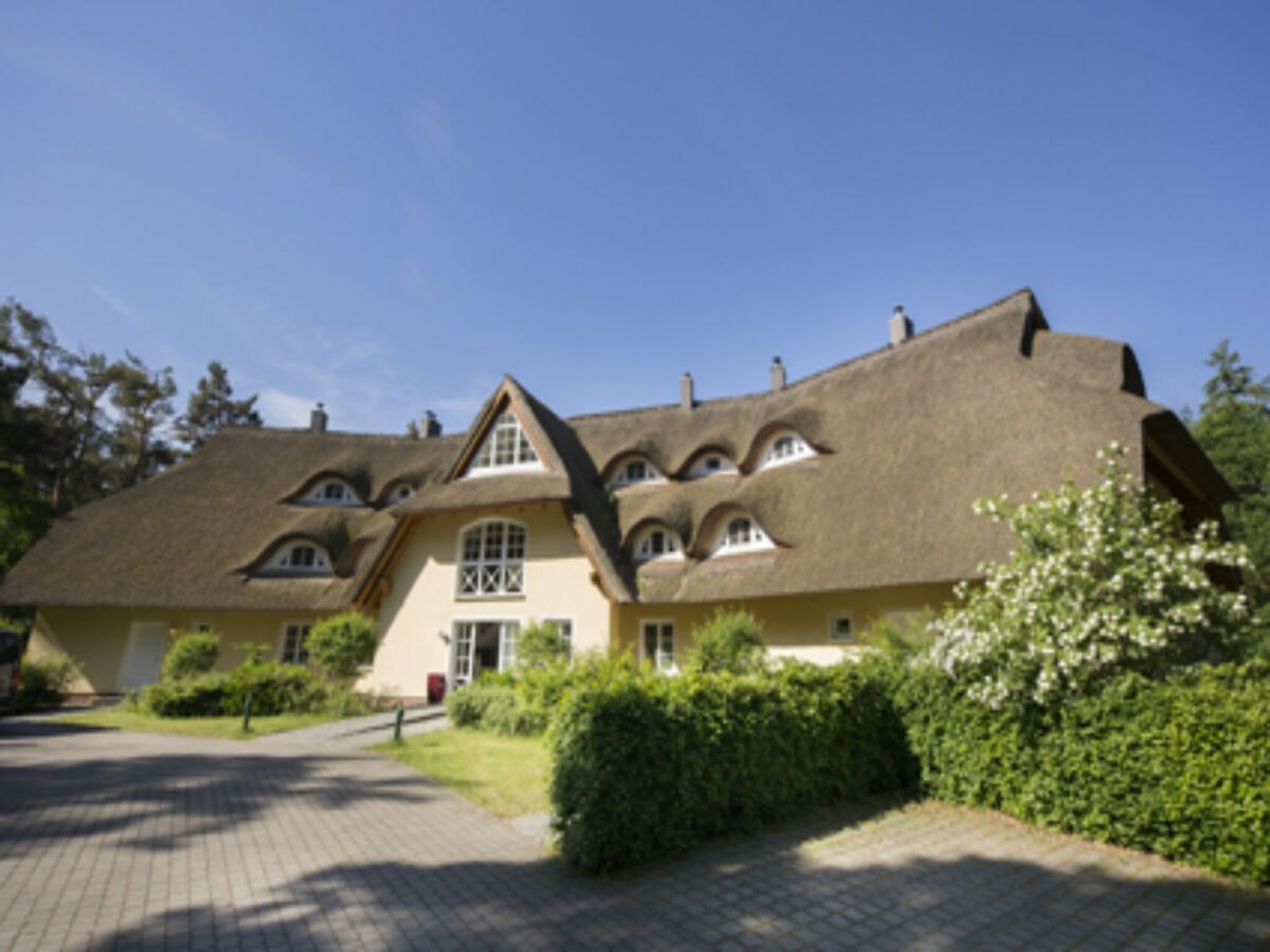 Holiday house Familienhaus für in Dierhagen