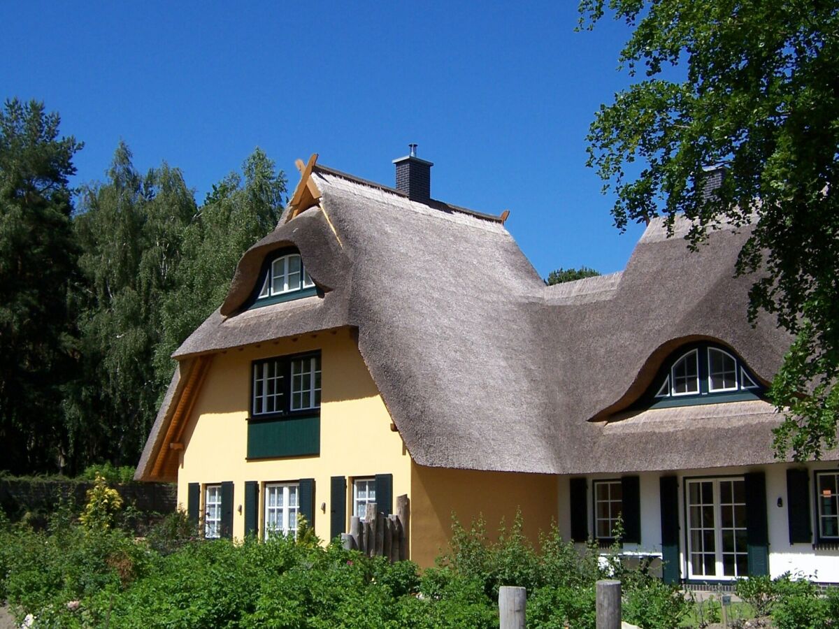 Holiday house Küstenwaldvilla in Dierhagen - Outdoor photo 2