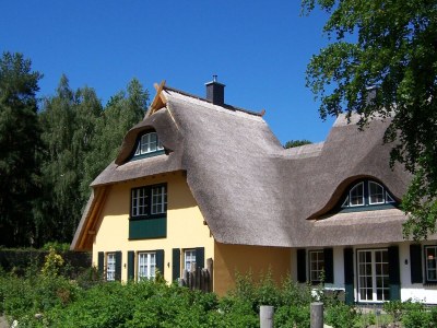 Holiday house Küstenwaldvilla in Dierhagen - Outdoor photo 2