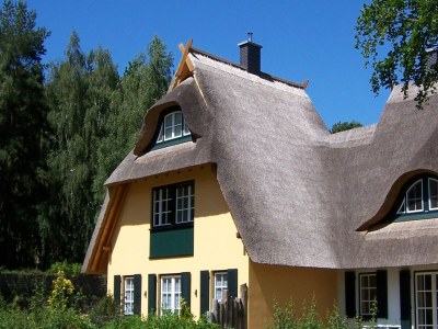 Holiday house Küstenwaldvilla in Dierhagen - Outdoor photo 4