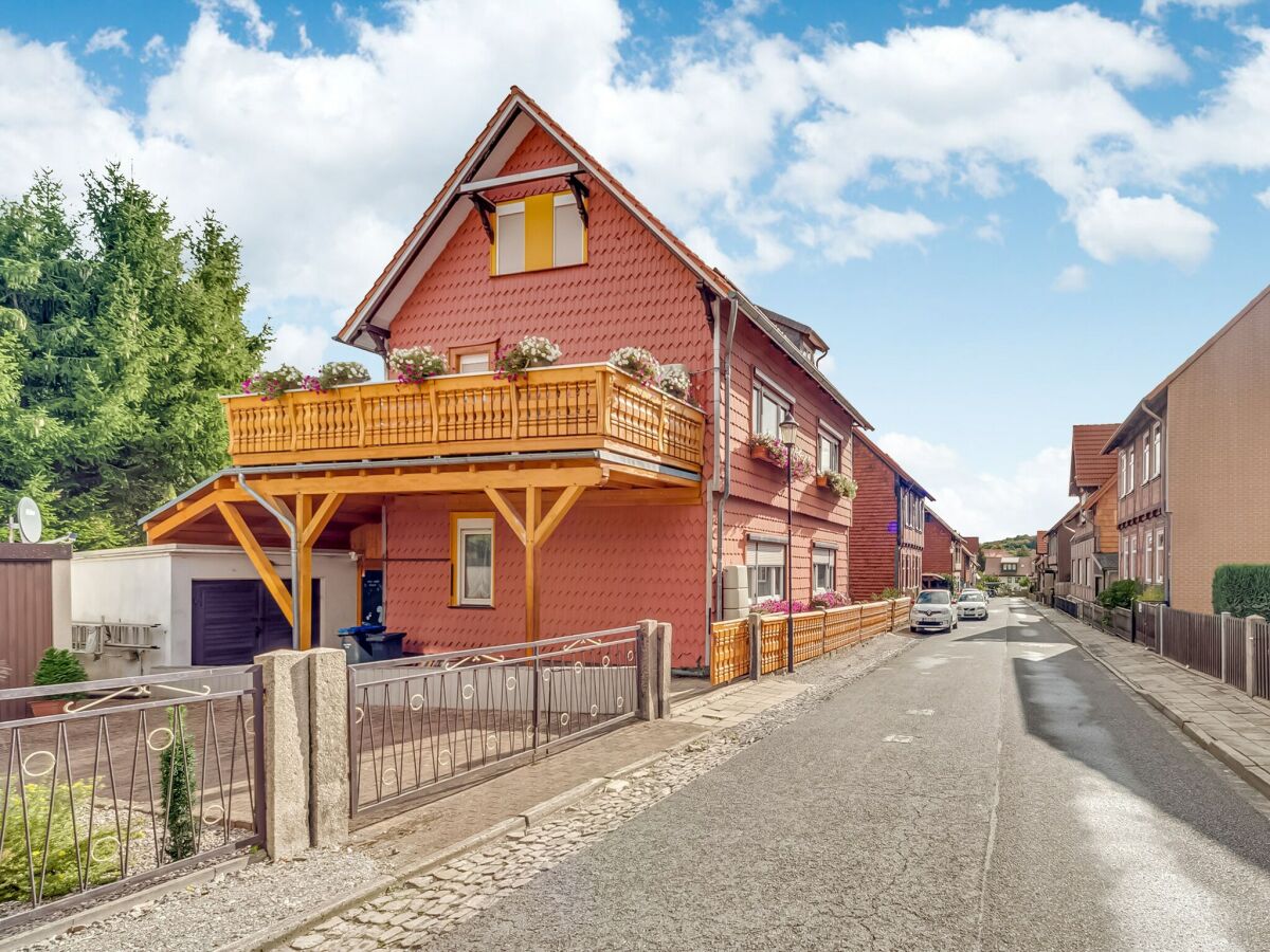 Apartment Ferienwohnung im Herzen Ilsenburgs - Outdoor photo 5