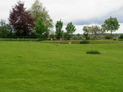 Holiday house Pleasant apartment near Valkenburg - Outdoor photo 8