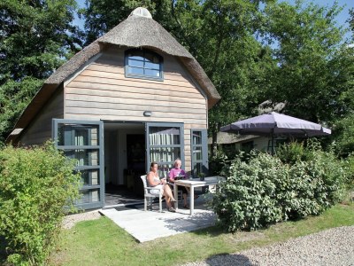 Holiday park Apartment in Netherlands near the Coast - Outdoor photo 4