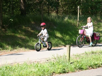 Holiday park Apartment in Netherlands near the Coast - Environment photo 17