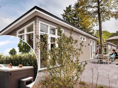Holiday park Bungalow in den Niederlanden mit Sauna - Environment photo 18