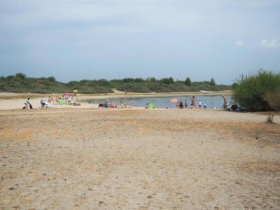 Holiday park Luxe Glamping Getaway - Environment photo 17