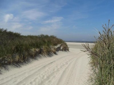 Holiday park Villa in Niederlande mit Sauna & Whirlpool - Environment photo 16