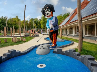 Holiday park Villa in Niederlande mit Sauna & Whirlpool - Outdoor photo 31