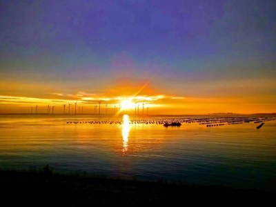 Holiday park Landhaus in AquaStaete mit Veranda - Environment photo 18