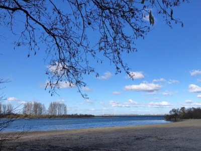Holiday park Villa in Aquadelta by the Water - Environment photo 25