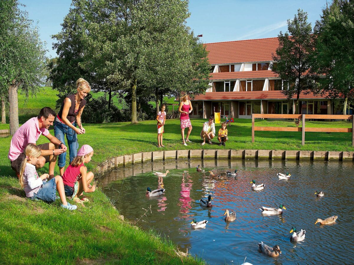 Holiday park Villa in Aquadelta with Garden Terrace - Outdoor photo 3