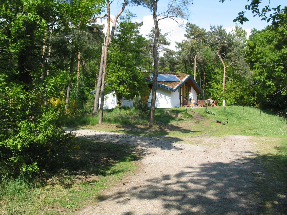 Holiday park Bungalow in Herperduin with Private Garden - Outdoor photo 3