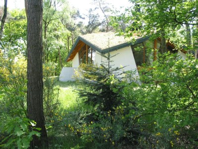 Holiday park Modernes Refugium am Seeufer - Holiday park