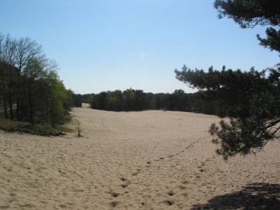 Holiday park Modernes Refugium am Seeufer - Environment photo 14