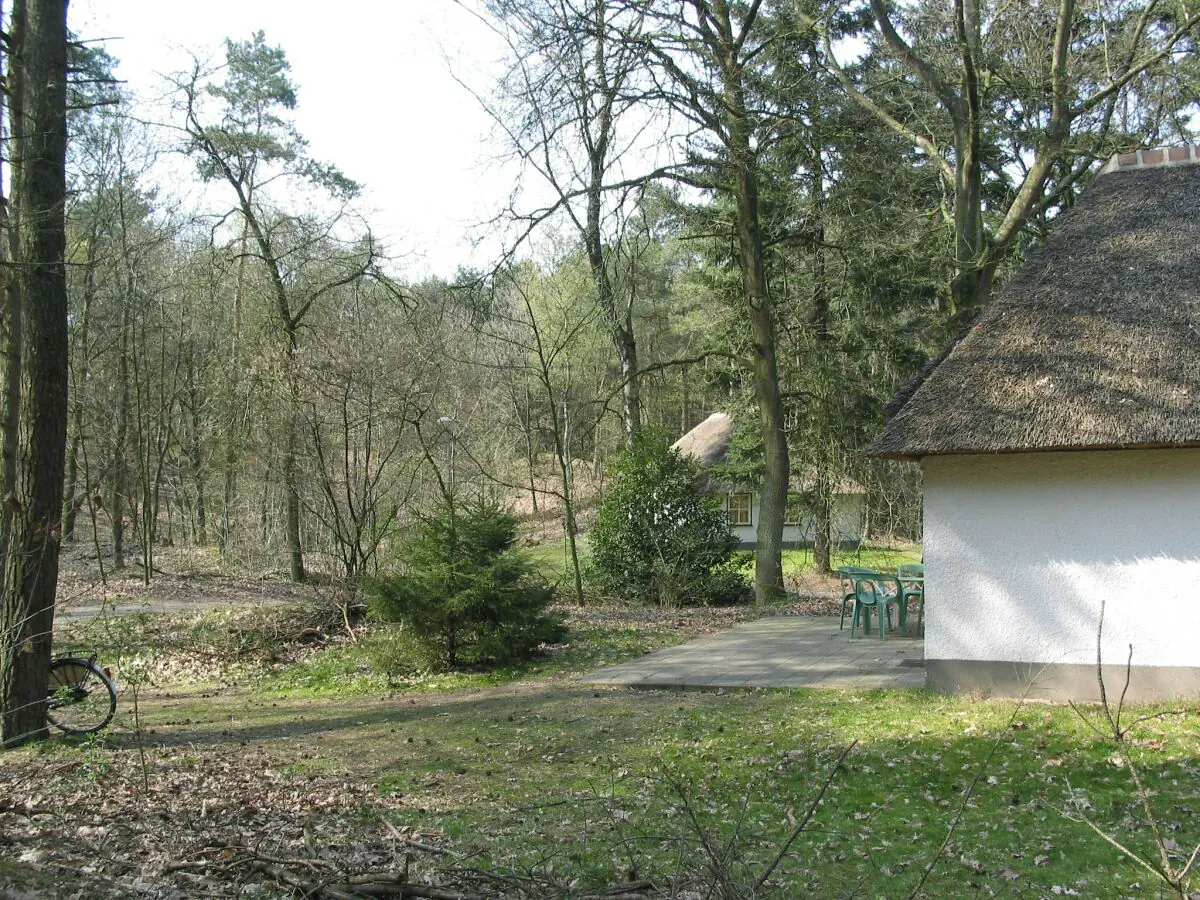 Holiday park Forest Villa in Herperduin with Bubble Bath