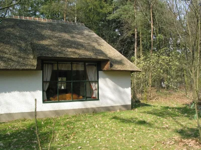 Holiday park Forest Villa in Herperduin with Bubble Bath - Outdoor photo 2