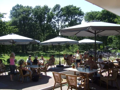 Holiday park Forest Villa in Herperduin with Bubble Bath - Outdoor photo 20