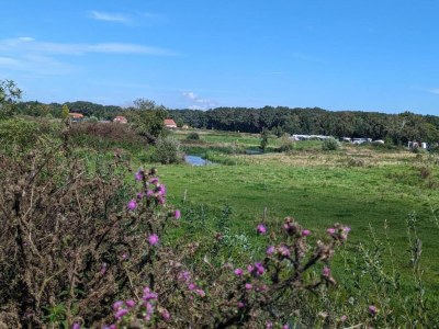 Holiday park Ferienhaus in Gelderland mit Garten - Environment photo 19