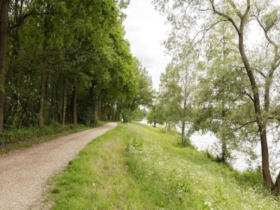Holiday park Ferienhaus in Gelderland mit Garten - Environment photo 21