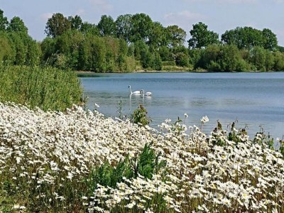 Holiday park Holiday Home in Netherlands with Private Garden - Environment photo 26