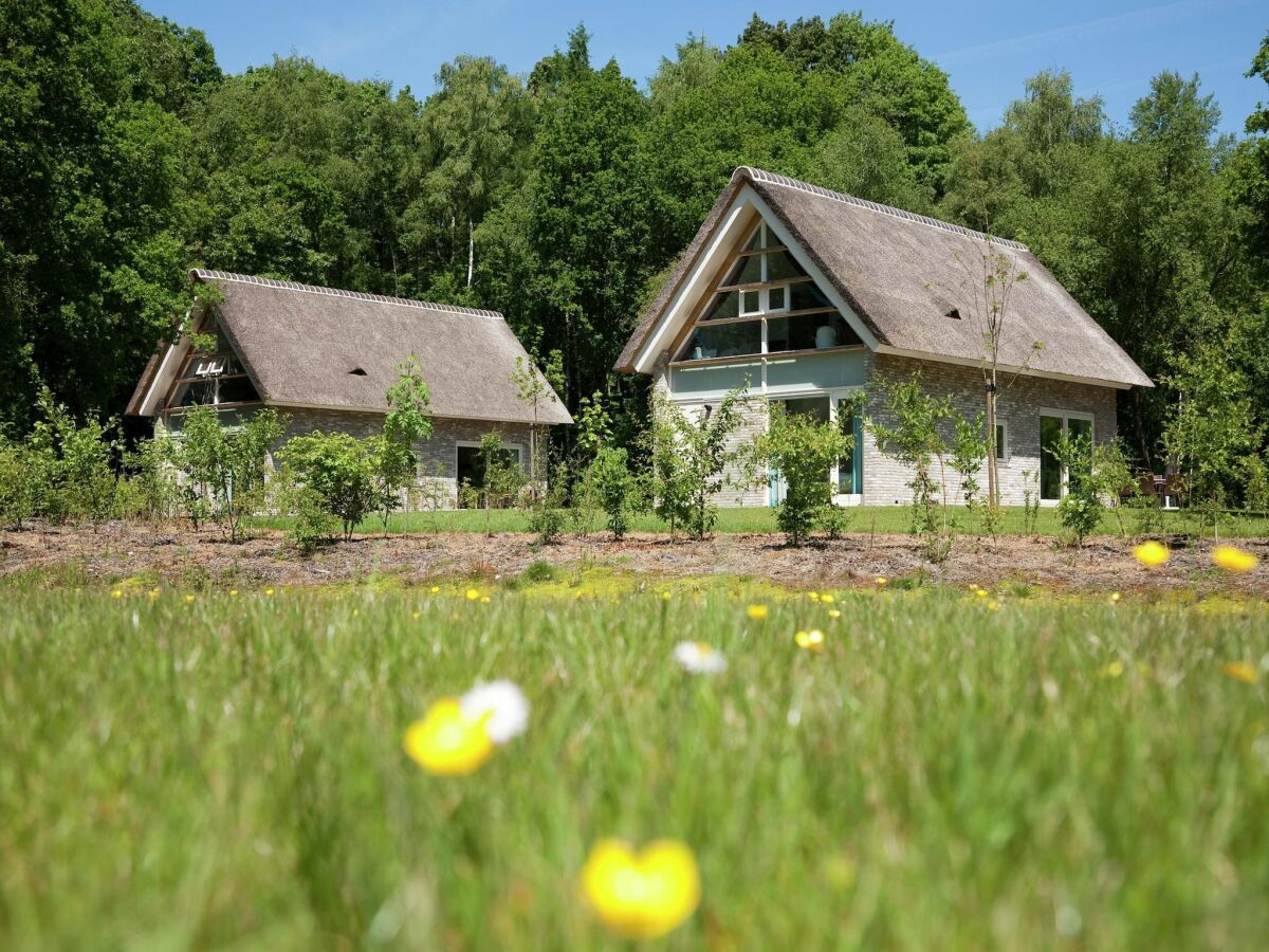 Holiday park Wellness Villa | Finnish Sauna - Outdoor photo 4