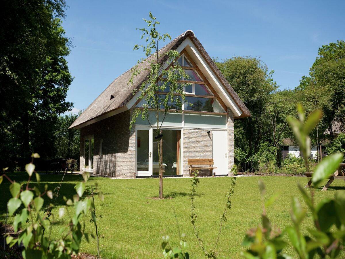 Holiday park Villa mit Solarium bei Hoogeveen