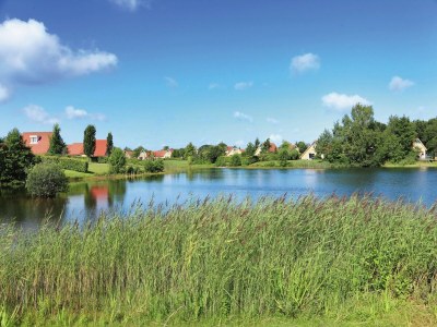 Holiday park Spacious holiday home with garden - Outdoor photo 26