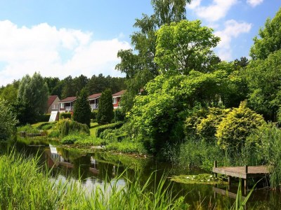 Holiday park Tidy house near Emslandermeer - Environment photo 28