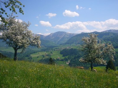 Holiday apartment Staufenblick 1 - Outdoor photo 3