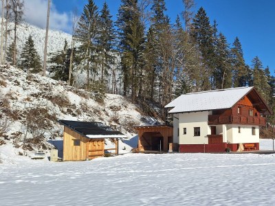 Apartment Chalet Lärchforst in Aich - Apartment