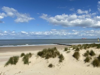Holiday house VZ193 Appartement Cadzand - Outdoor photo 11
