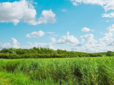 Holiday house VZ130 Groepsaccommodatie Westkapelle - Outdoor photo 24