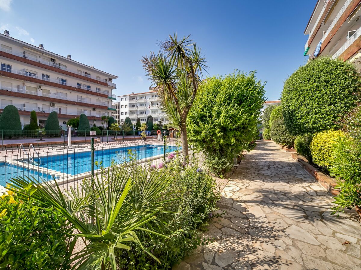 Apartment Apartment in Blanes with Sea Views