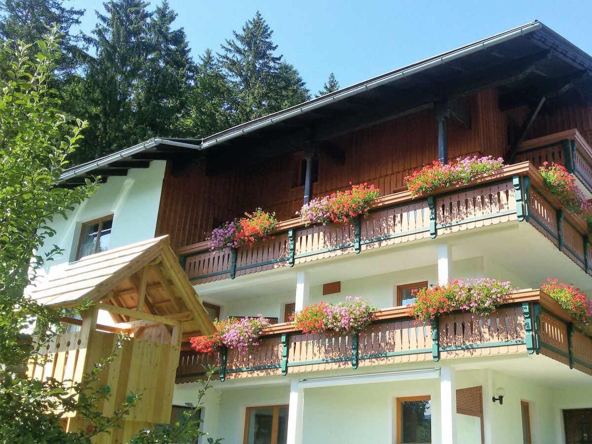 Apartment Appartement 3