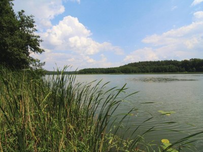 Holiday park Blockhäuser am Fährsee, Templin - Environment photo 16