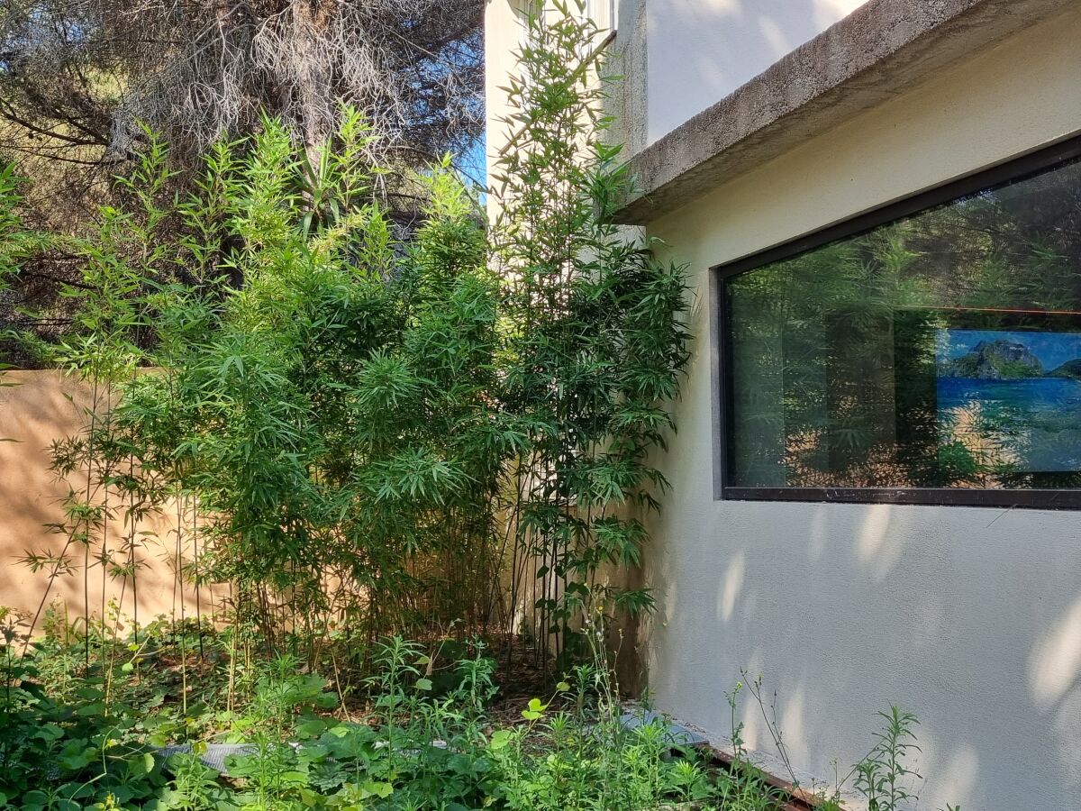 Holiday apartment "Le Soleil", 75m²,garden, access to pool & 2Ha park