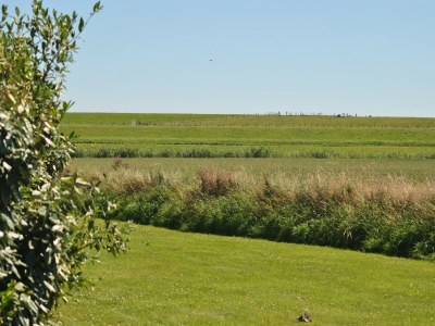 Holiday house Attractive Home in Frisian - Outdoor photo 4